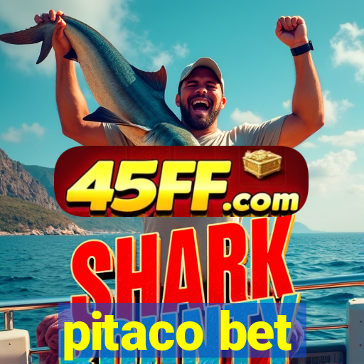 pitaco bet